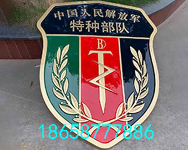 特种部队队徽