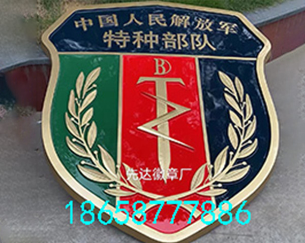 特种部队队徽制作